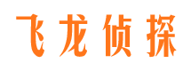 满城飞龙私家侦探公司